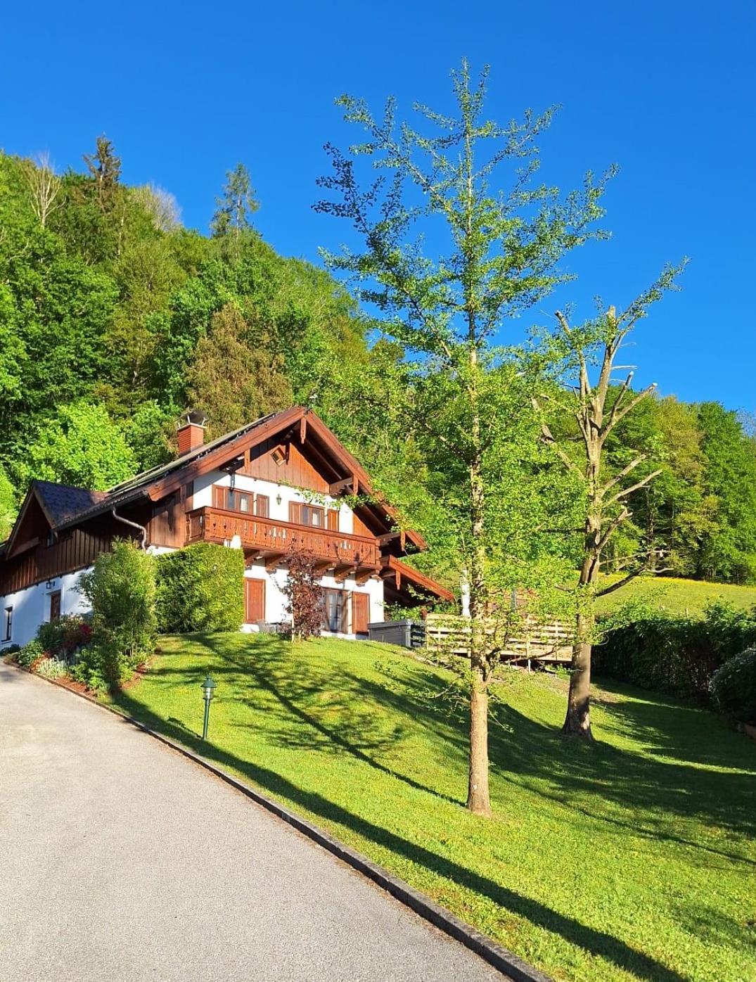 Luxus Alpenparadies Nahe Salzburg Sauna & Whirlpool アードネット エクステリア 写真